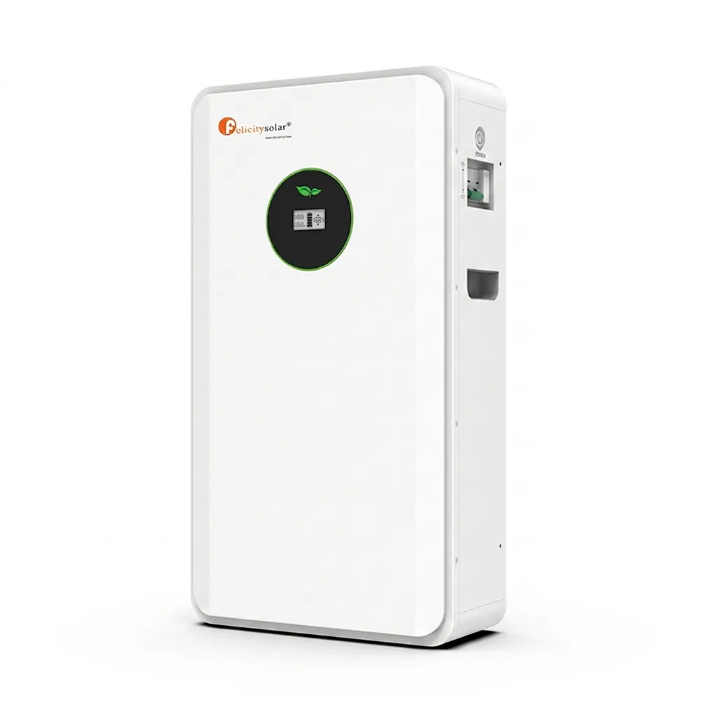 Bateria de Litio 5kWh Voltage: 51.2V Capacidad: 100Ah